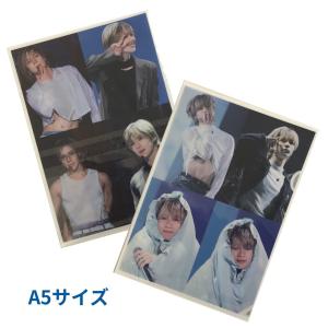 テミン SHINee シャイニー A5 クリアファイル 韓流 グッズ fb047-51