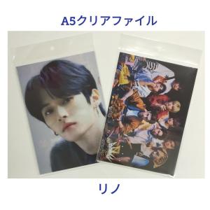 Dfesta リノ StrayKids チケット ポストカード クリアファイル Dfesta リノ StrayKids チケット ポストカード クリアファイル