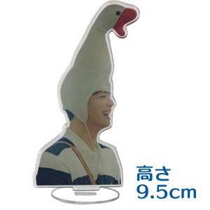 パクボゴム アクリルスタンド フィギュア 韓流 グッズ fj019-31