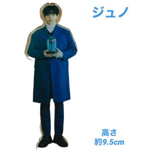 中綿付き】ジュノ 2PM クッション カバー 布製 両面 ミニ 抱き枕