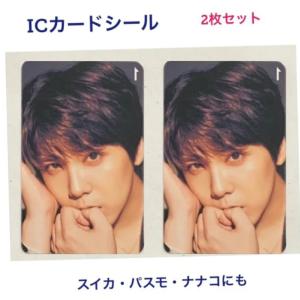 FTISLAND エフティアイランド ホンギ IC カード シール 2枚セット 韓流 グッズ fs011-1