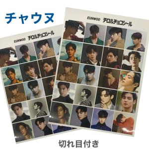 ASTRO チャウヌ　うちわ　４枚　アクスタ　セット ASTRO チャウヌ うちわ 4枚 アクスタ セット ASTRO チャウヌ