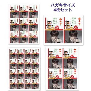 2PM ジュノ　ソウルコン限定トレカ ジュノ 2PM トレカサイズ カードケース 韓流 グッズ pl093-1