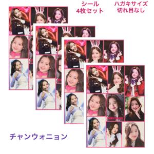 IZ*ONE Shall We Dance? ポストカード2枚セット ウォニョン Amazon | ウォニョン グッズ フォトメッセージカード 56枚 トレカ