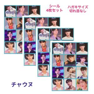 ASTRO チャウヌ　うちわ　４枚　アクスタ　セット ASTRO チャウヌ うちわ 4枚 アクスタ セット ASTRO チャウヌ