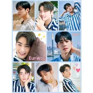 ムンビン ASTRO アストロ ポストカードセット 韓流 グッズ ar072-1