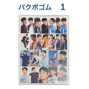 パクボゴム 透明トレカ入り キーホルダー 韓流 グッズ pi009-66