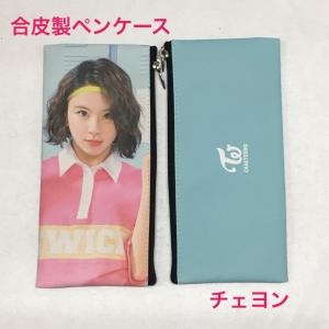 チェヨン TWICE トゥワイス 写真入り リール付き パスケース ICカード