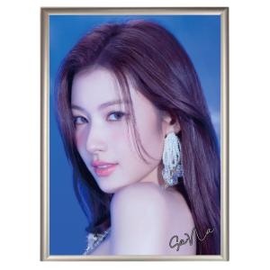 サナ TWICE トゥワイス フォトプレート 額入り 写真 A4サイズ 韓流 グッズ hp011-44