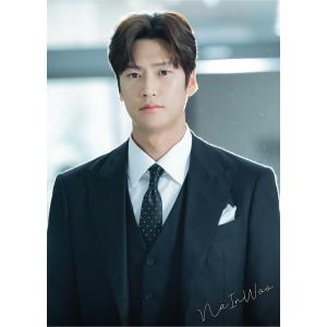 ナイヌ A3 ポスター 30×42cm 丸めてお送り 韓流 グッズ ht052-8