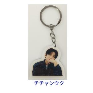 チ・チャンウク JI CHANG WOOK チチャンウク タペストリー 韓流グッズ