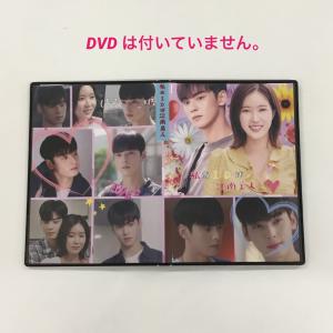 韓国ドラマ 女神降臨 チャウヌ 韓流 グッズ DVDは付いていません mt018