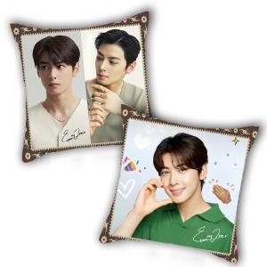 中綿付き】 チャウヌ ASTRO アストロ クッション カバー 布製