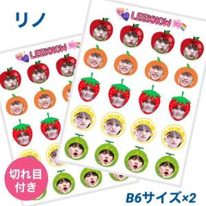 4個セット リノ StrayKids ストレイキッズ スキズ 缶バッチ 缶バッジ