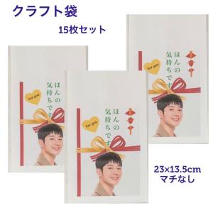 チョンヘイン L版 写真 10枚セット 韓流 グッズ av047-8 : アンジー
