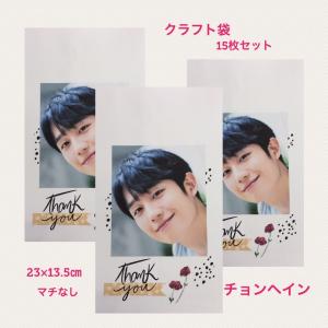 チョンヘイン JUNGHAEIN DP ポストカードセット シール付き 韓流