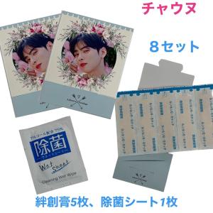 チャ・ウヌ ASTRO アストロ チャウヌ グッズ フォトメッセージカード