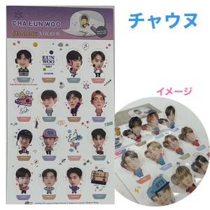 チャウヌ ASTRO アストロ 柔らかい 合皮製 ポーチ 小物入れ 韓流