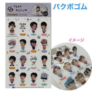 パクボゴム 透明 トレカ カード 25p 韓流 グッズ gi047-1 : アンジー