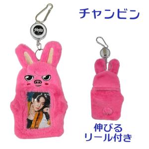 アイエン ストレイキッズ STRAYKIDS スキズ ぬいぐるみ パスケース