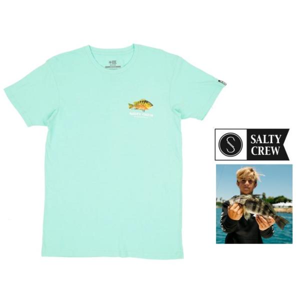 SALTY CREW(ソルティークルー) 半袖プリント クルーネックTシャツ color：SEA F...