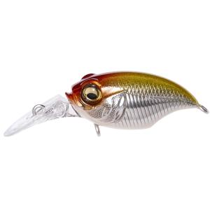 Megabass（メガバス） グリフォン MR-X／SR-X 問屋限定 [極カラー