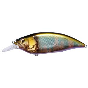 【美品】グラディエーターマキシマム マックスクイーン　レイドジャパン RAID JAPAN（レイドジャパン） グラディエーター マキシマム マックス