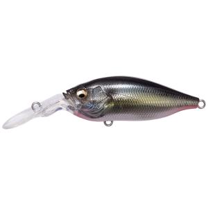 Megabass（メガバス） メガバスX70 サスペンド / megabass X-70 SP（GP