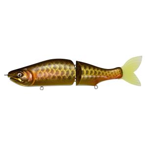 2024大阪受注会限定】メガバス POPX (ポップX) DRAGON FISH G [メール