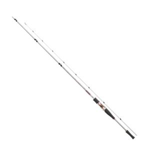 DAIWA（釣り） DAIWA ハートランドAGS 別誂 冴掛 710 AGS スピニング