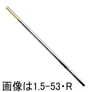 DAIWA（ダイワ） 【アウトレット商品】ダイワ 16 トーナメント ISO AGS