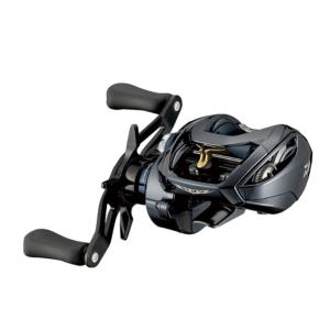 DAIWA（ダイワ） '22 スティーズ A II TW 1000H 右ハンドル [90] (G2