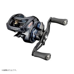 DAIWA（ダイワ） 23 スティーズ A II TW 1000XHL 左ハンドル / ベイト