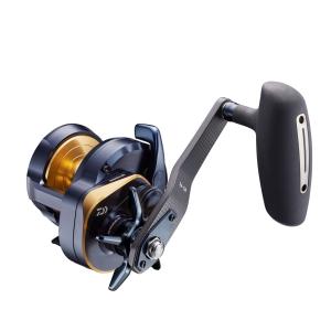 ダイワDAIWA スピニングリール 17 セオリー 2506. 2017モデル Amazon | ダイワ(DAIWA) スピニングリール 17 セオリー 2004H