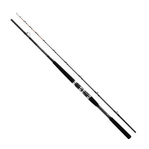 DAIWA（ダイワ） ディープゾーンX 120−210 : 釣具屋 セクター