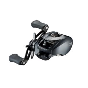 DAIWA（ダイワ） ベイトリール 26 シルバーウルフ CT SV TW PE
