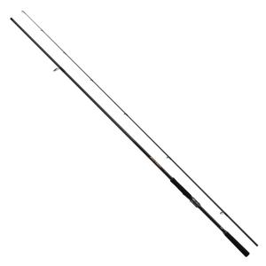 シマノ　エクスセンスジェノス(磯マル・ヒラスズキモデル) S110MH/R シマノ（SHIMANO） ロッド エクスセンス ジェノス S110MH/R 磯マル