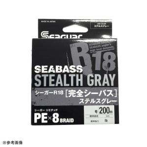 サンライン（SUNLINE） ソルトウォータースペシャル キャストアウェイ
