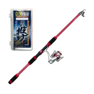 シマノ（SHIMANO） 19 ワールドシャウラ テクニカルエディション S66L