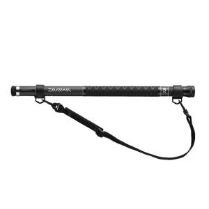 DAIWA（ダイワ） ラテオ FJ 1010ML／M ／フラットフィッシュ