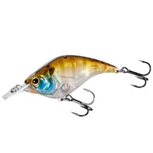 シマノ（SHIMANO） カーディフNX S83ML 大型便B : フィッシング