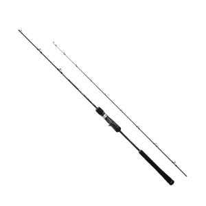 DAIWA（ダイワ） 23 ソルティガ SJ 61B-3・W 【大型商品3】 : ヨコオ