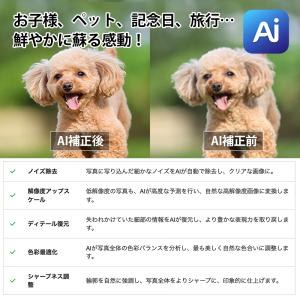 AI機能搭載で自分で作れる アクリルフォト ス...の詳細画像3