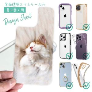 スマホケース 着せ替え シート インナーシート スマホカバー 背面 透明 クリア オリジナル デザイン 猫 ネコ 昼寝する猫(ネコ)｜anglers-case