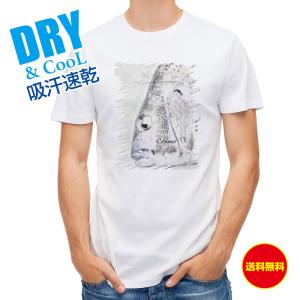 釣り Tシャツ アウトドア クロダイ(チヌ)手書き風