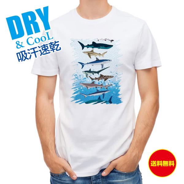 釣り Tシャツ サメ・シャーク・鮫 鮫の種類 魚 送料無料 メンズ ロゴ 文字 春 夏 秋 安い 大...