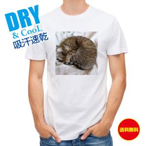 Tシャツ ニャンモナイト 送料無料 レディース 猫 ネコ 雑貨 春 夏 秋 トップス 安い 面白い 大きいサイズ 洗濯 ポリエステル｜anglers-case