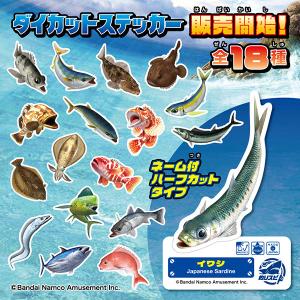 ゼネラルステッカー バンダイナムコ 釣りスピリ...の詳細画像1