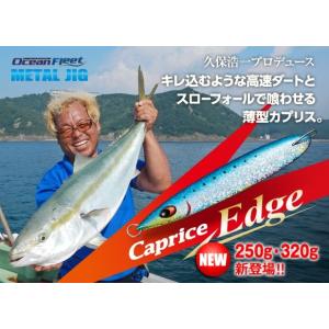 EverGreen（エバーグリーン） カプリス 100g : アングラーズショップ