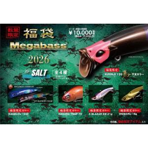 Megabass（メガバス） 2026メガバス福袋 ソルトセット Megabass SALT